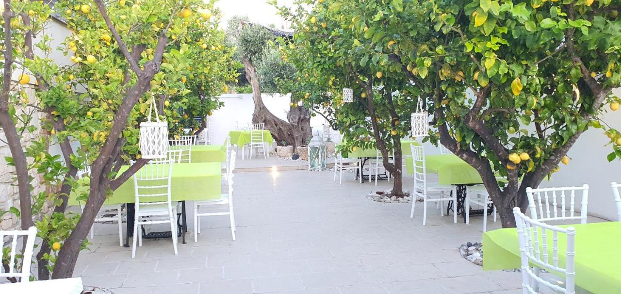 Case Vacanza La Greppia โรดิการ์กานิโก ภายนอก รูปภาพ